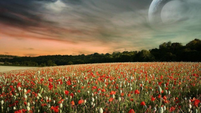 27寸显示器有必要上4K吗？